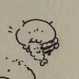 沐灰
