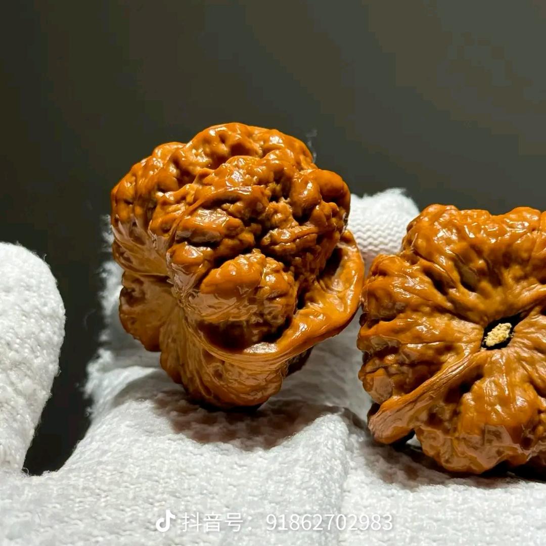 快乐的一只小跳蛙