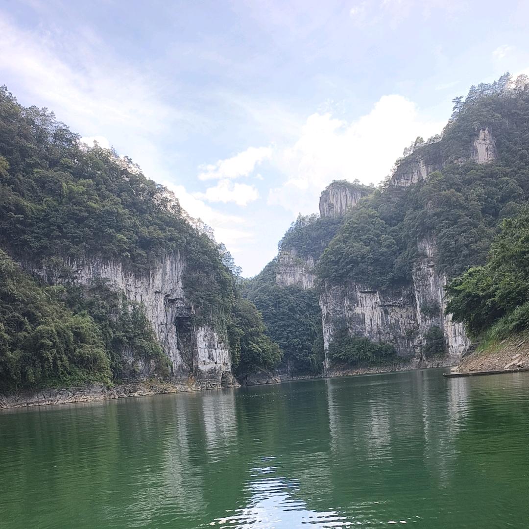 (づ￣φ￣)づ╭❤～