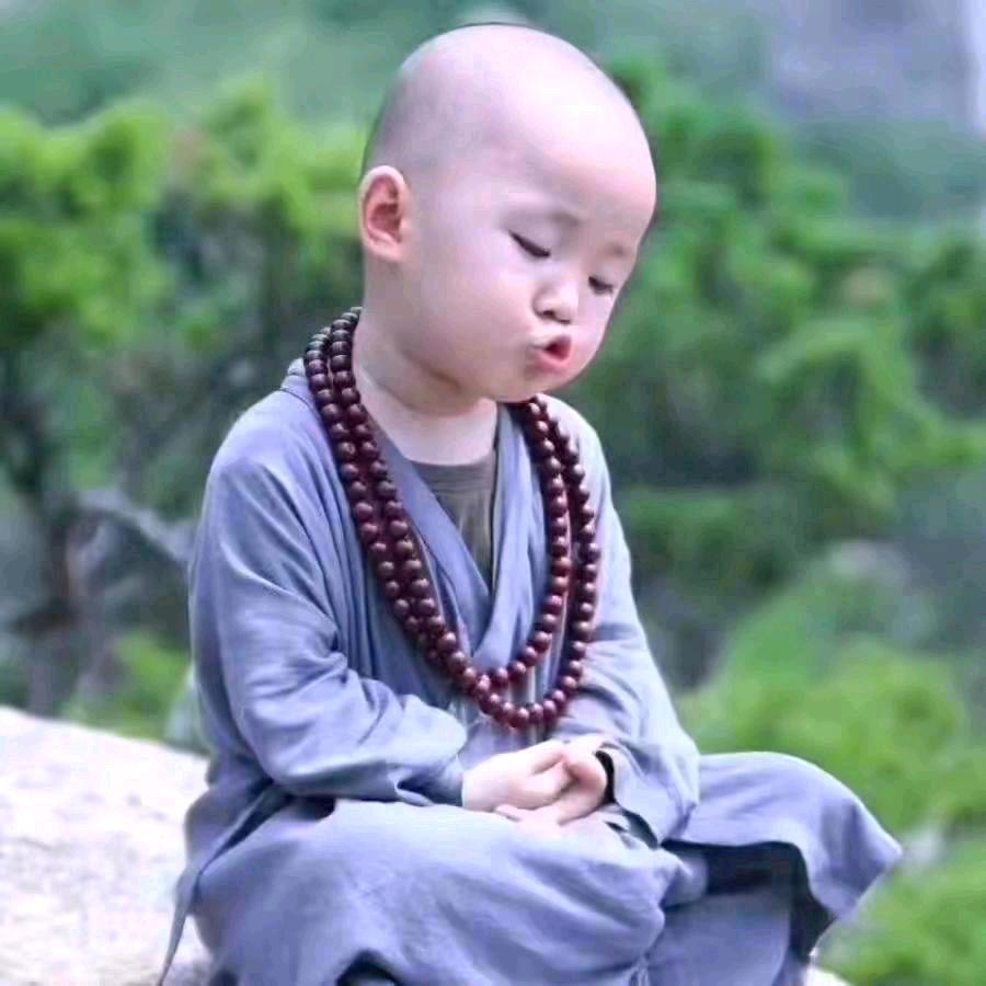 请？为什么加我。