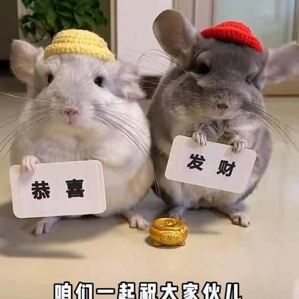 祺祺妈