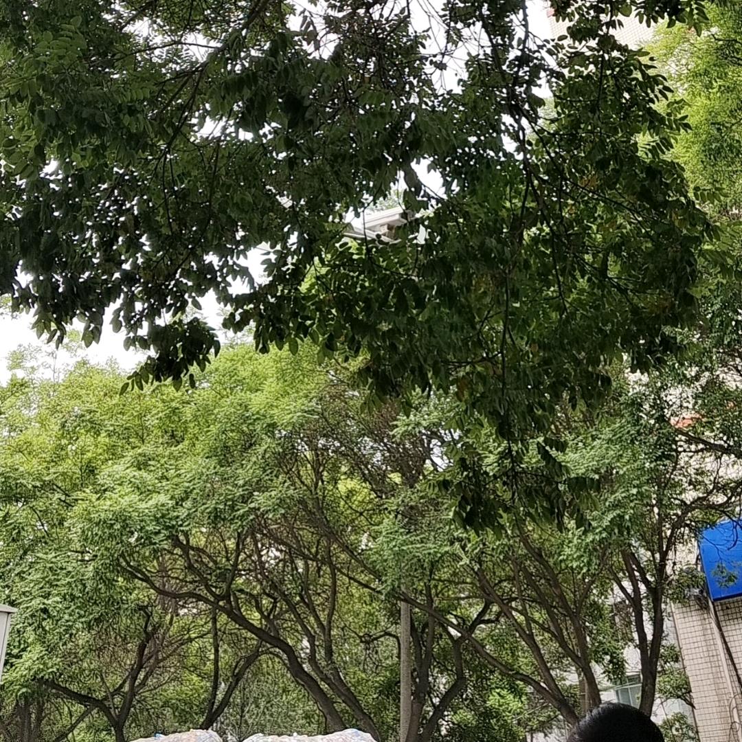 幸福的生活