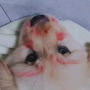🤓开心每一天