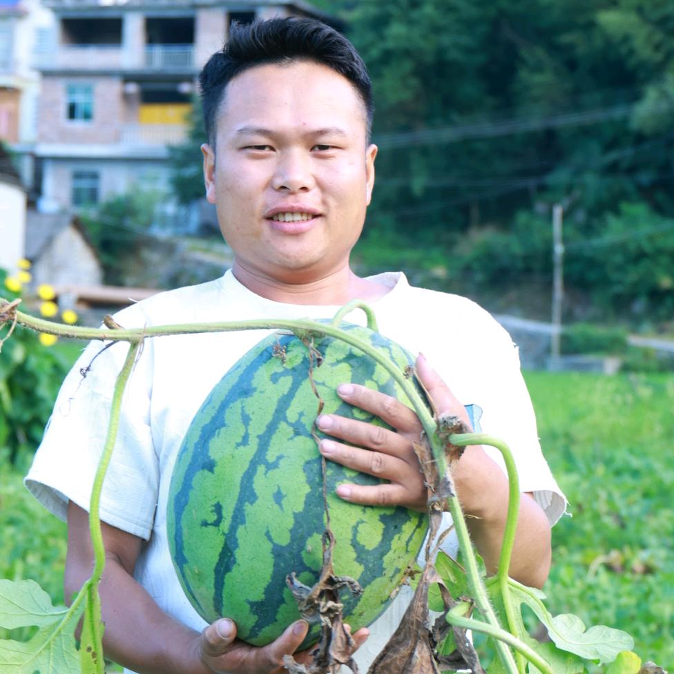 湘西小老弟