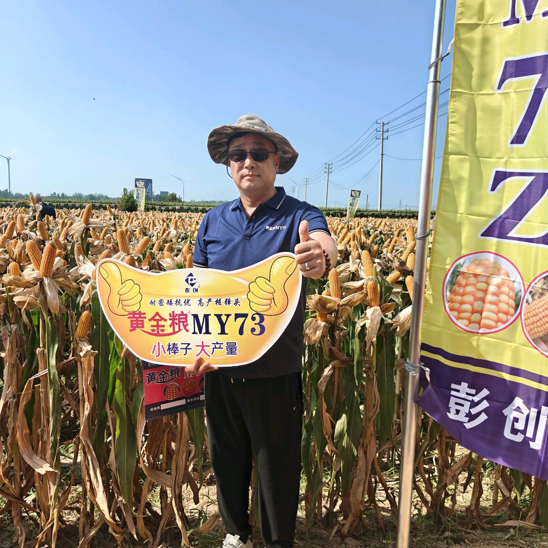 振修农资超市