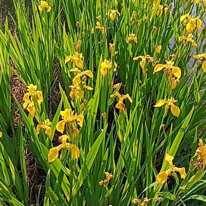 留下一段美好回忆