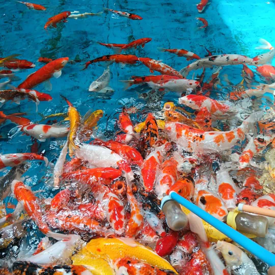 : এ᭄余生ꦿ好运࿐ᩚ