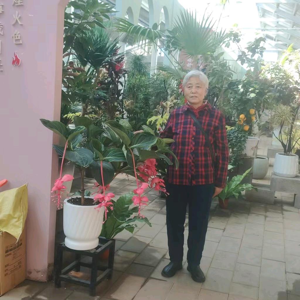 开心老太太