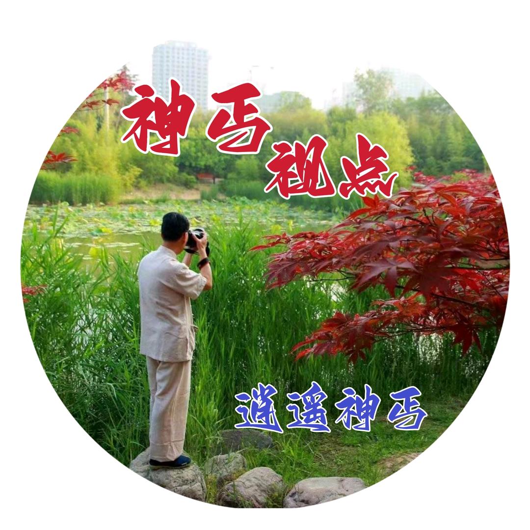 神丐视点