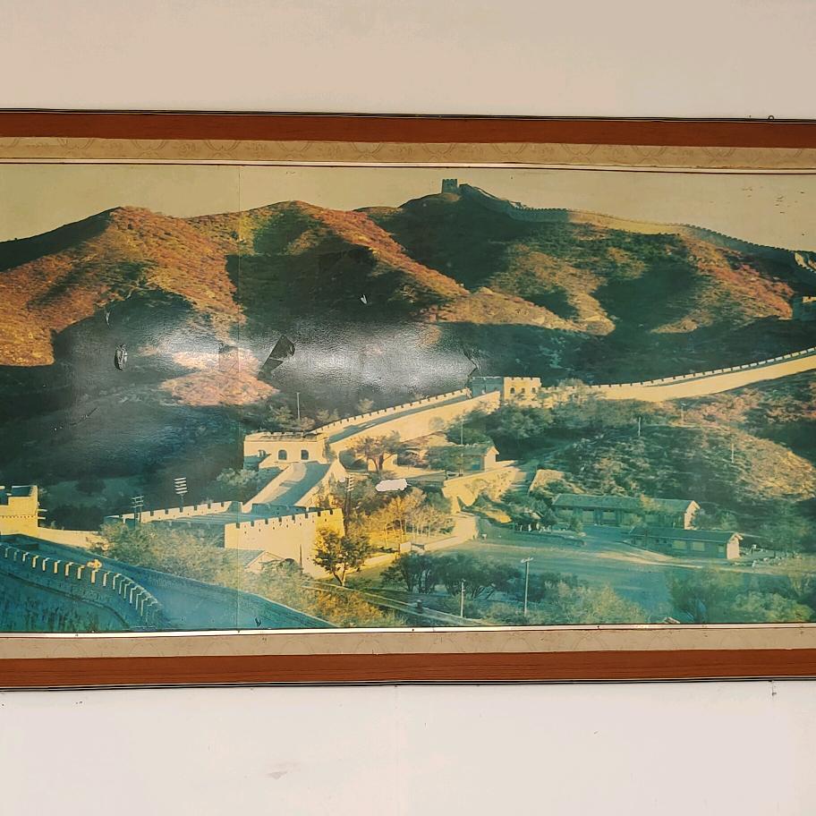 阳光李