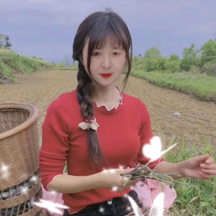 梅花