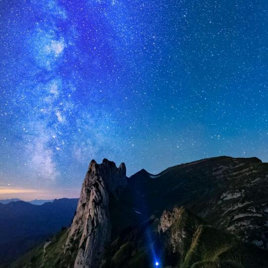 胖哒