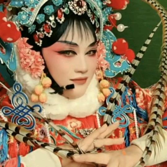 豫剧雷艳华👍