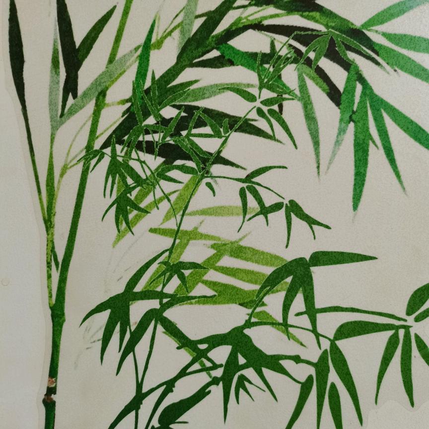 宇哥🎤（首播）