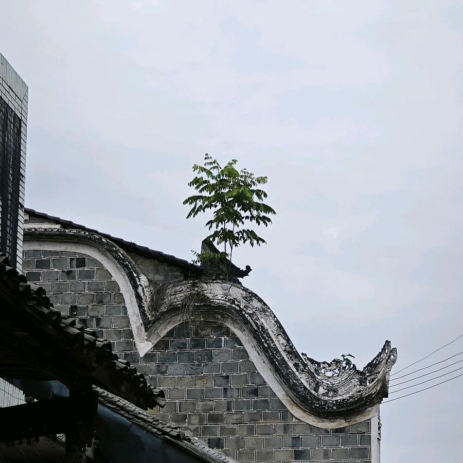 玉楼金阙