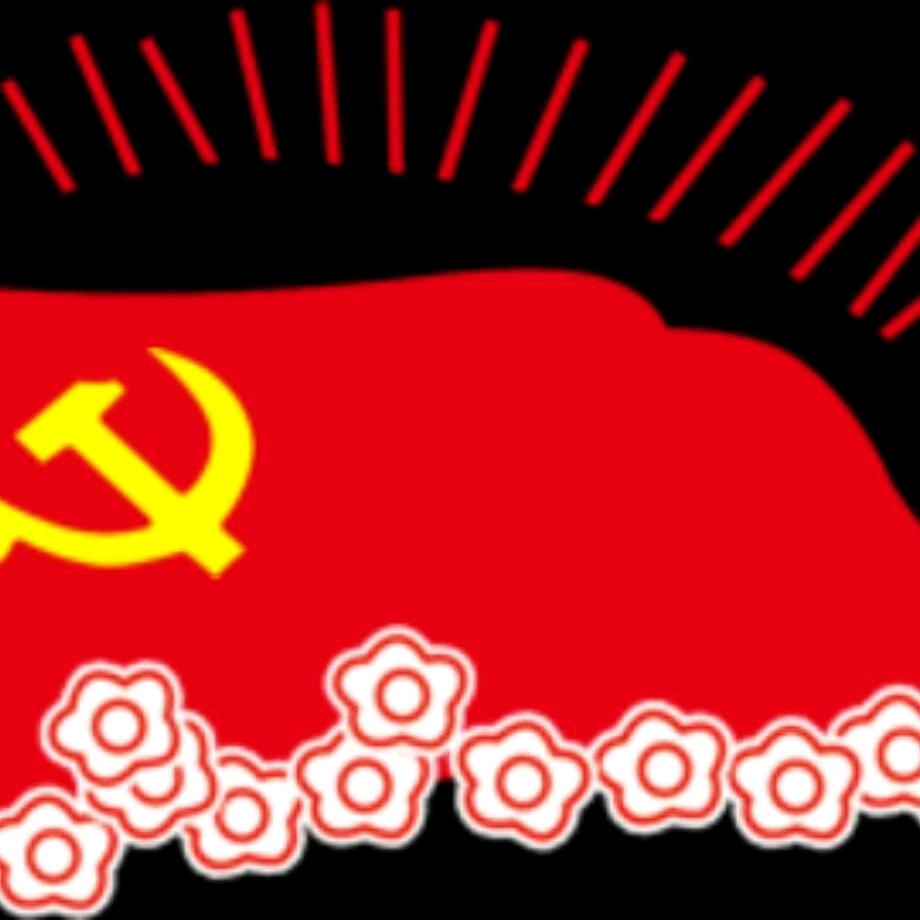红心向党
