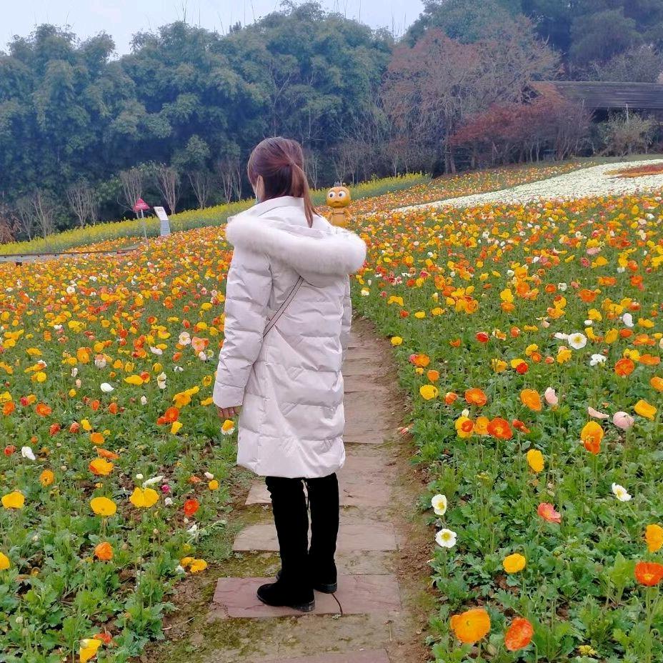 不再为爱留下伤