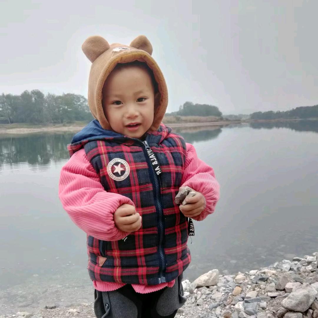 凤
