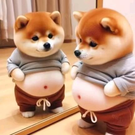__拾玥