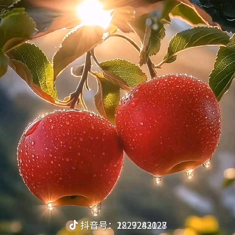 花姐