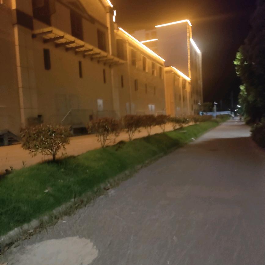 悲欢自渡
