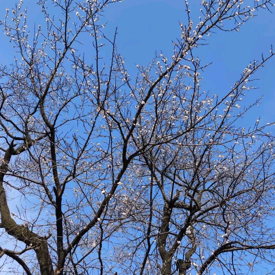 环球物流