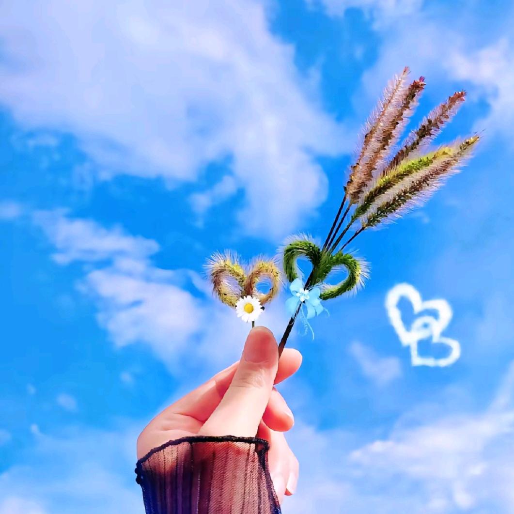 🌺姑娘别哭泣🌺