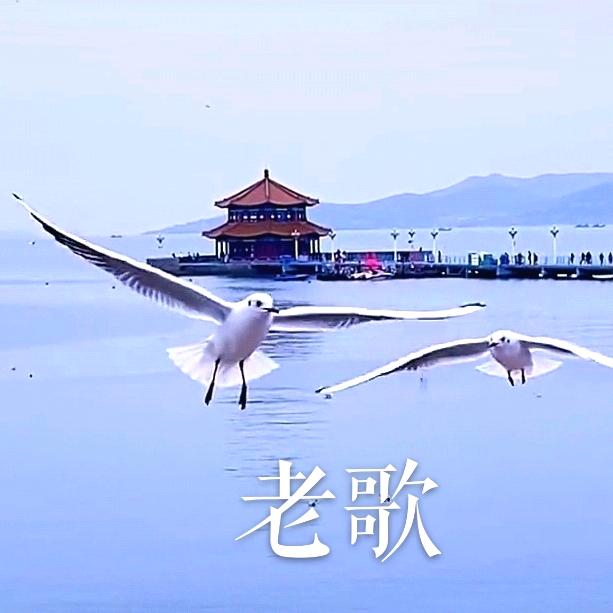 老歌