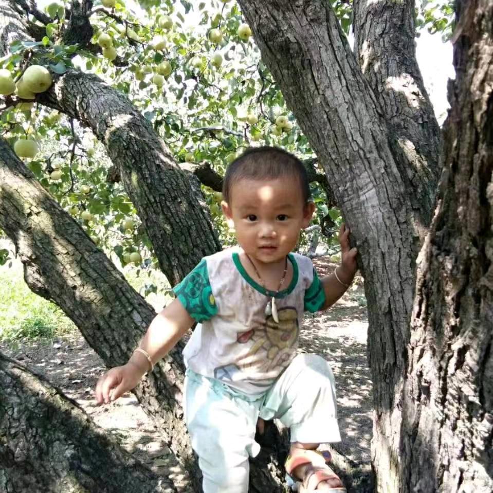 得意杨杨