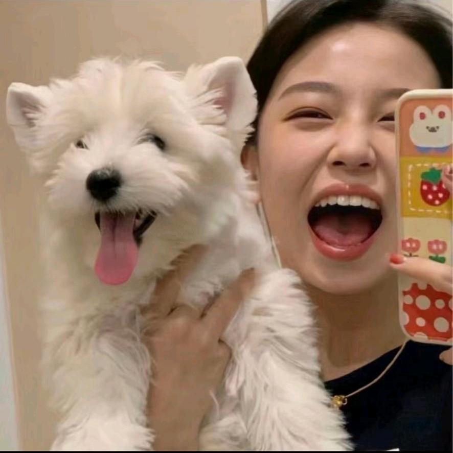 姜姜不吃姜（把把胡）