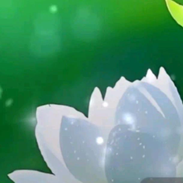 🌞落花若相依🌙