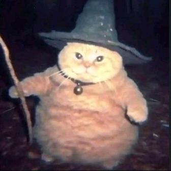 一只魔法喵