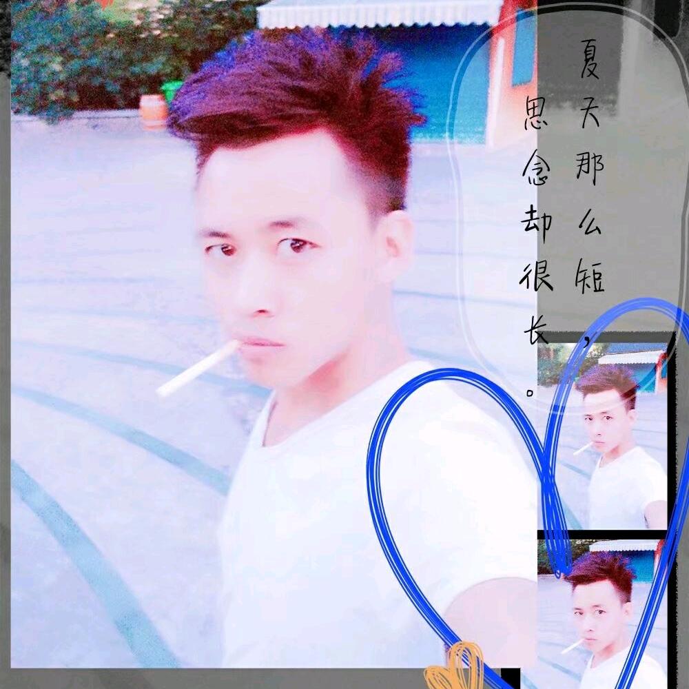 城志鲜羊肉批发