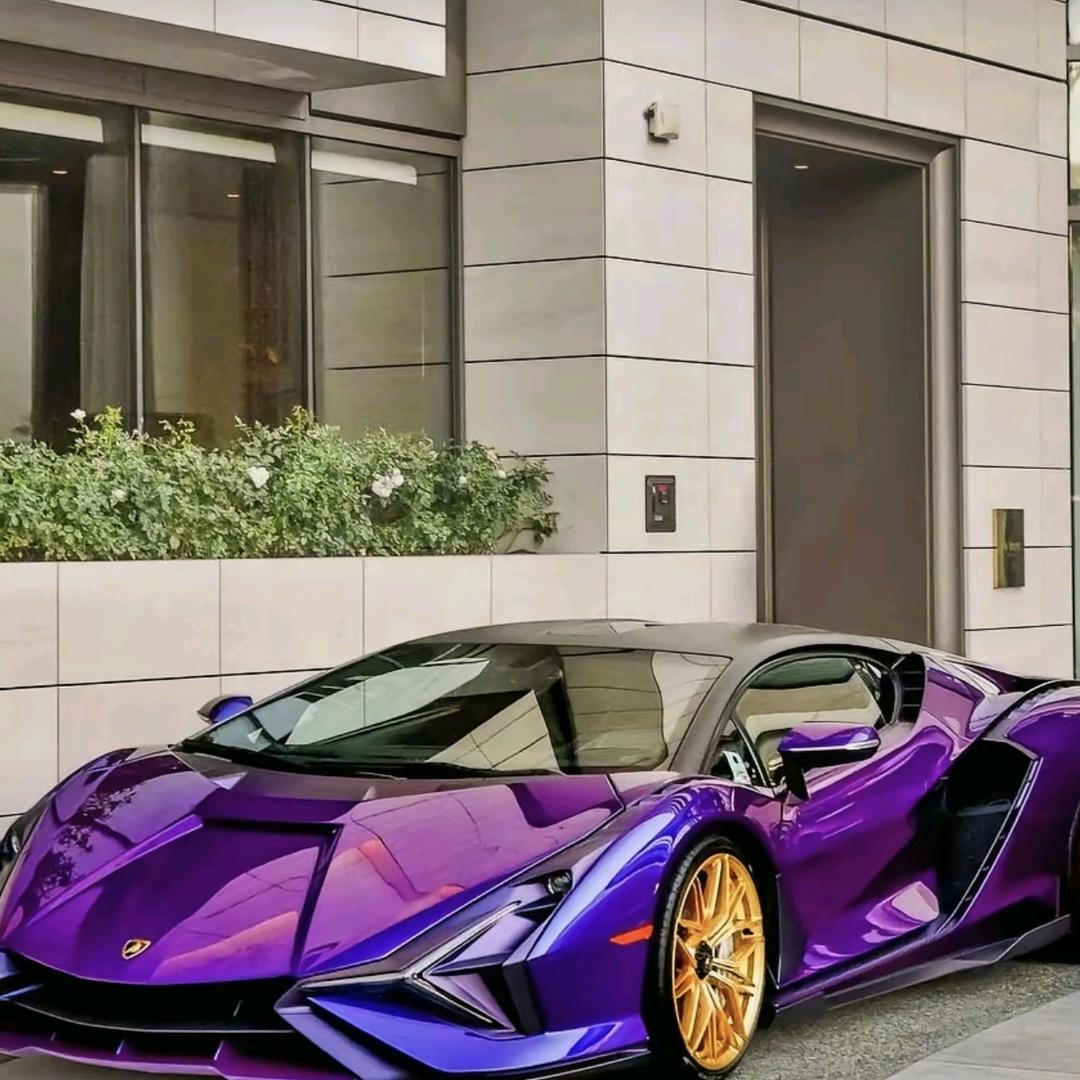 小笨蛋XX