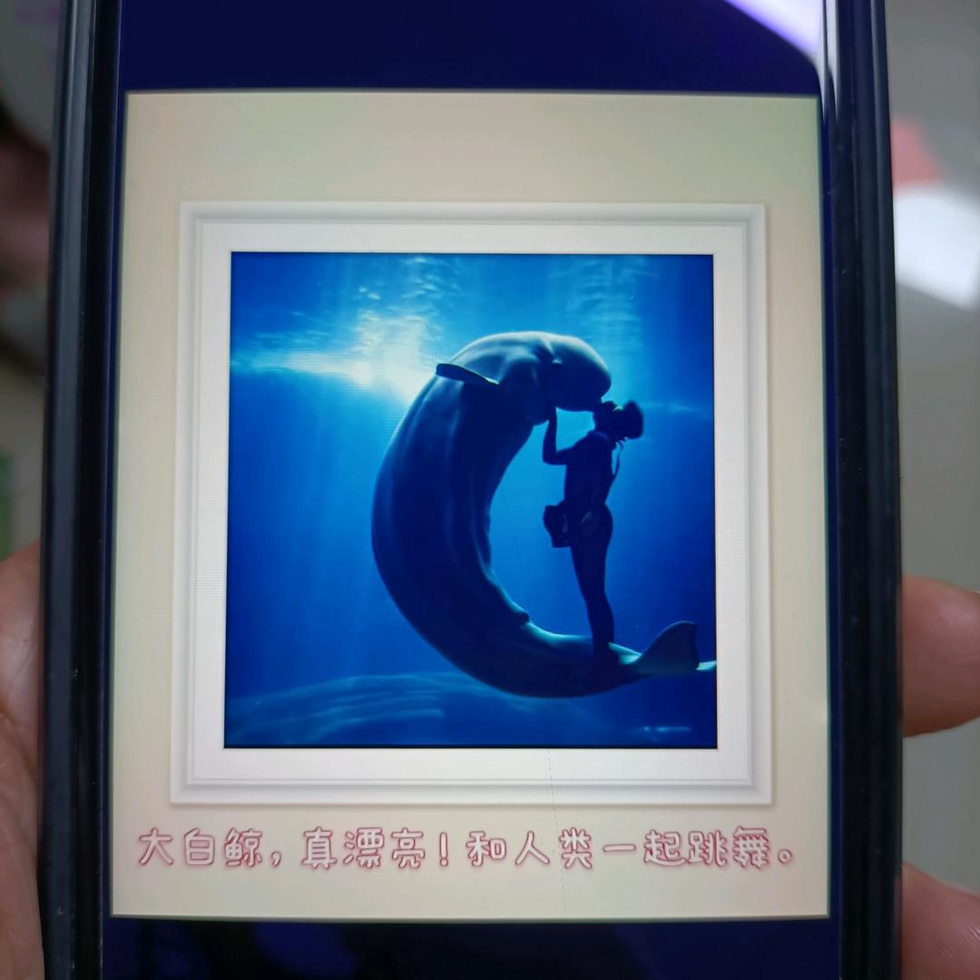 双彦工厂