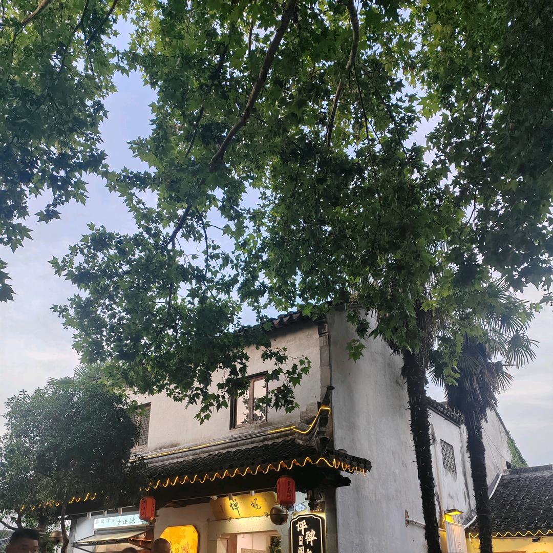 弗杰严选星星号