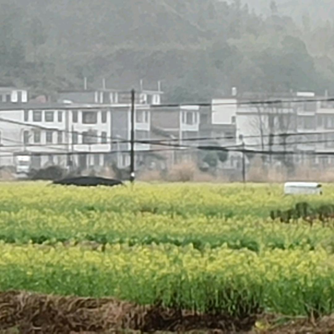 幸福美一天