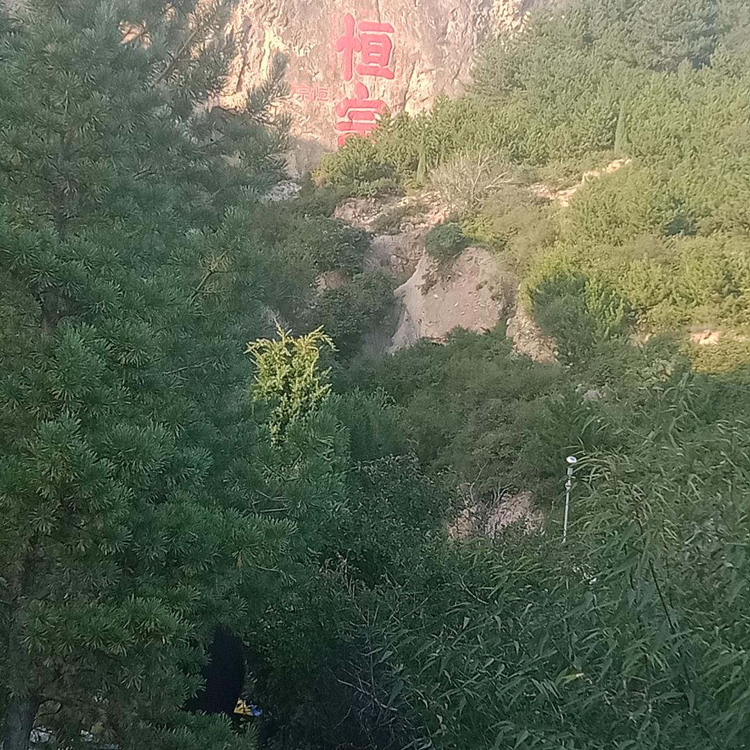 爱你一辈子
