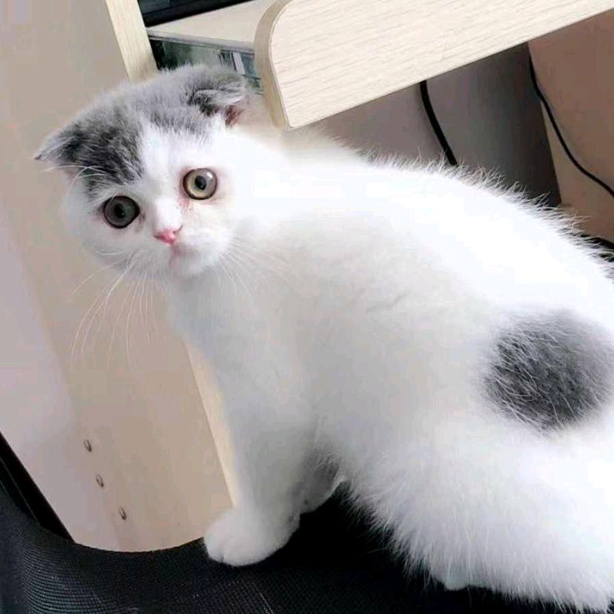 🔯佘生孤独💞又何仿🔯