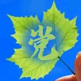 💞好运随行dang