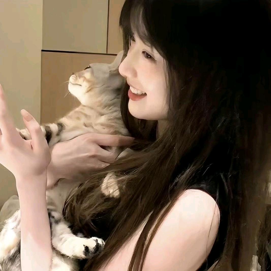 贪欢
