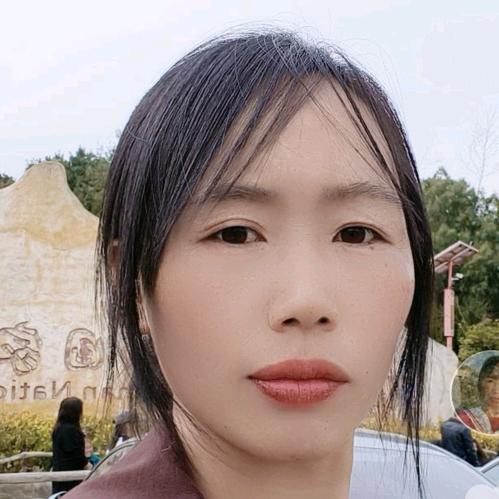 农村小菊