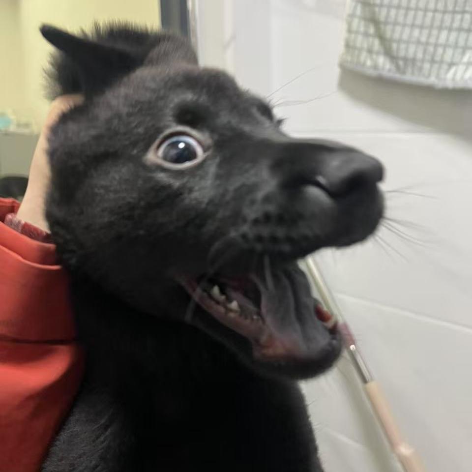 ˃̣̣̥᷄⌓˂̣̣̥᷅