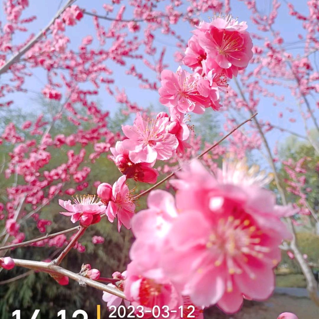 ໑ຼₒ₂₃ღ᭄幸运星🦋꧔ꦿ᭄💞