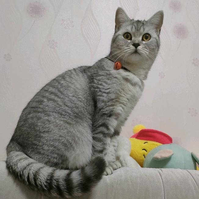 陌篱ˉ殇花の♀