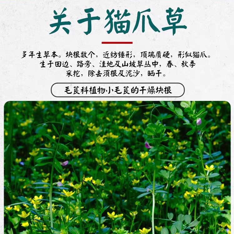 北漂