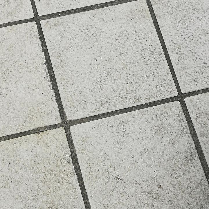 没有冬眠期-