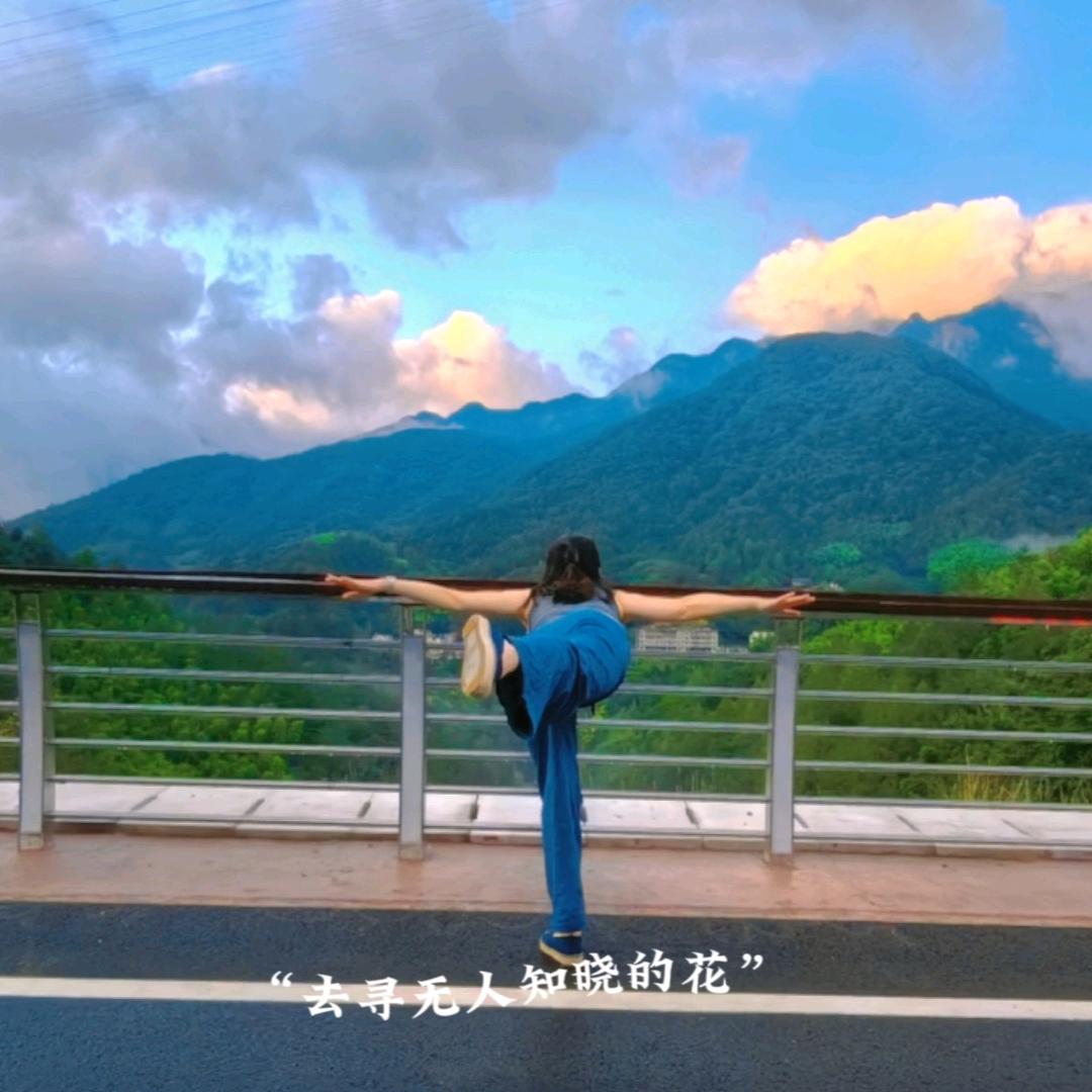 一水一叶🍃