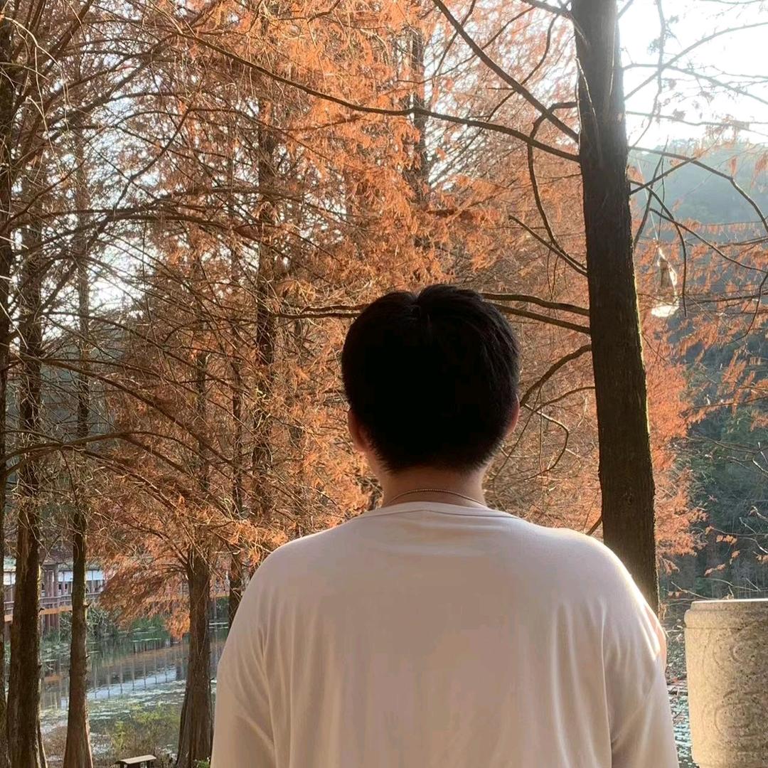 小龙日常
