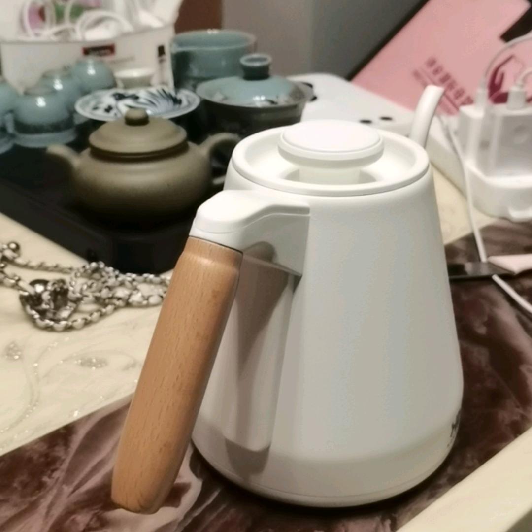 泰迪